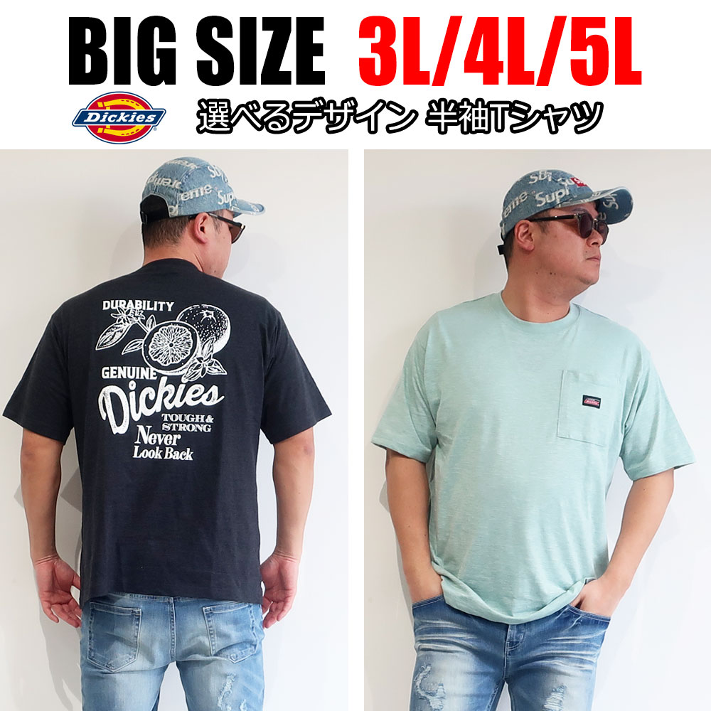 Dickies �ǥ��å����� ���٤�ǥ�����ȾµT�����