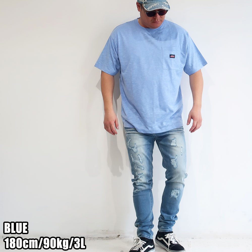 Dickies �ǥ��å����� ���٤�ǥ�����ȾµT�����