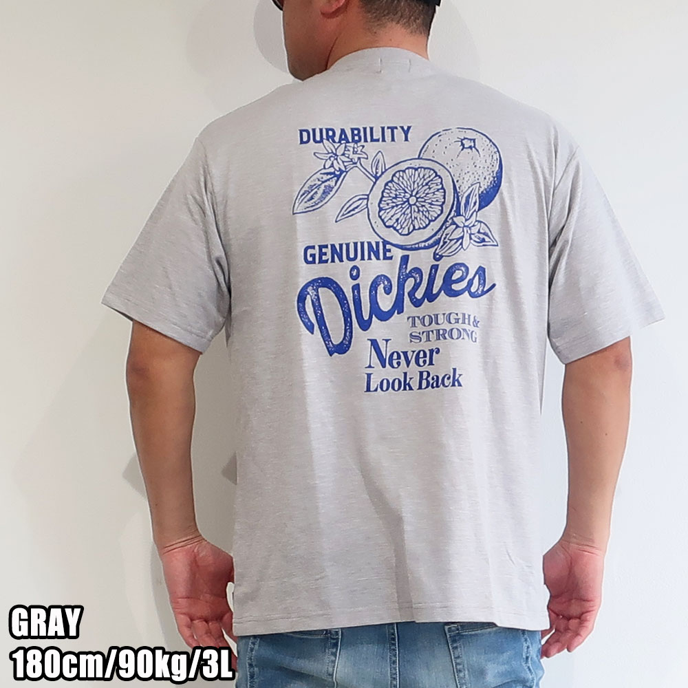 Dickies �ǥ��å����� ���٤�ǥ�����ȾµT�����