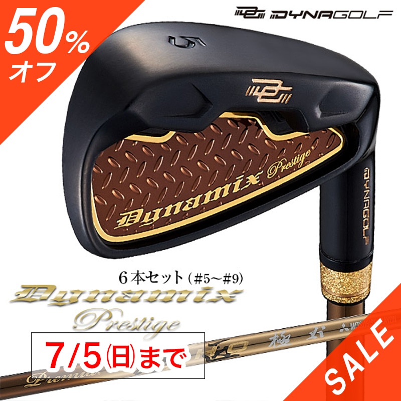 ダイナミクスアイアン
