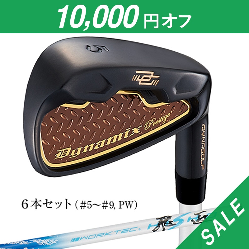 SALE＞【6本セット】ダイナミクス アイアン （I5-I9,PW） <br>ワーク