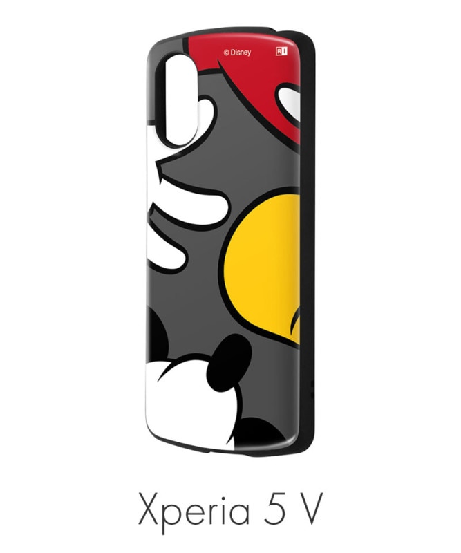 Xperia 5 V  �ǥ����ˡ� / Ķ���ݸ���� MiA �ߥå����ޥ������顼_1 IN-RDXP5M5AC4/MK26