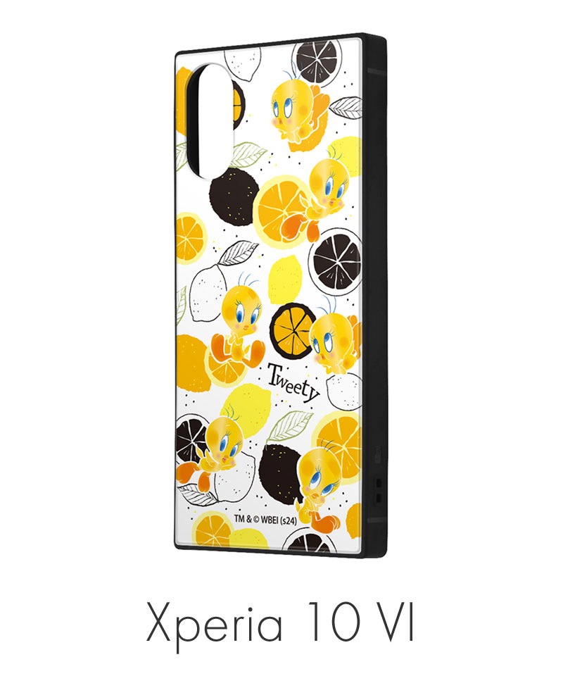 Xperia 10 VI / �롼�ˡ����ƥ塼�� / �ϥ��֥�åɥ����� KAKU / �ȥ������ƥ���_���� IQ-WXP10M6K3TB/TWB2