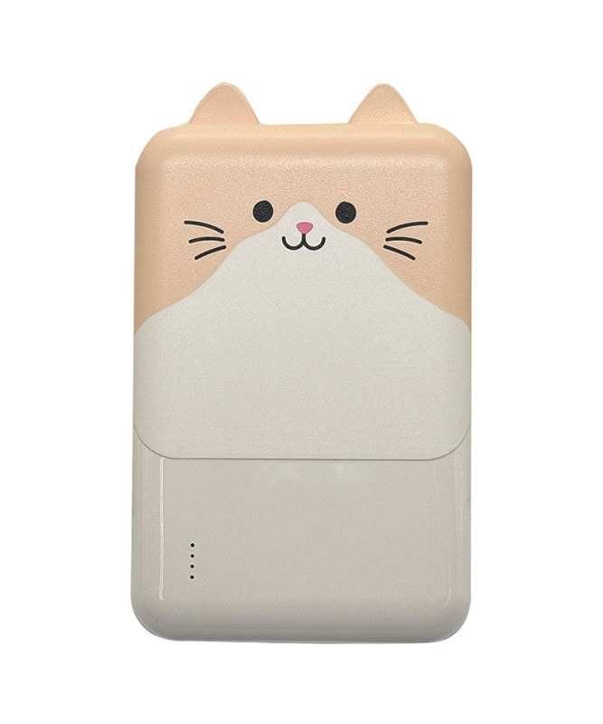 Фˤ㡼 ХХåƥ꡼ 5000mAh 2.1A USB Type-C1ݡ Type-A2ݡ   ǽ 3Ʊ  RLI050C2A01ART