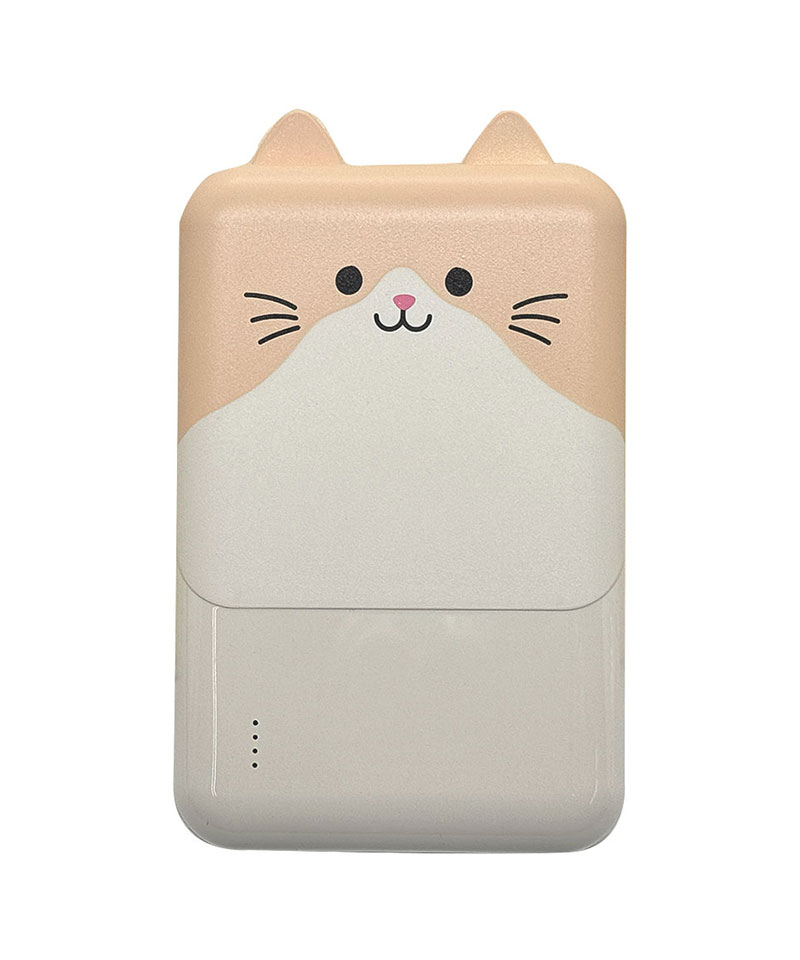 ��Фˤ㡼 ��Х���Хåƥ꡼ 5000mAh 2.1A USB Type-C1�ݡ��� Type-A2�ݡ��� ���� ������ ���������ǽ 3��Ʊ������ ����� RLI050C2A01ART