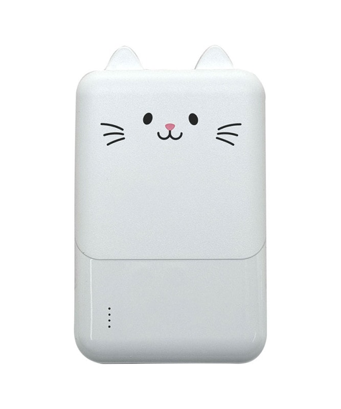 Фˤ㡼 ХХåƥ꡼ 5000mAh 2.1A USB Type-C1ݡ Type-A2ݡ   ǽ 3Ʊ  RLI050C2A01MCC