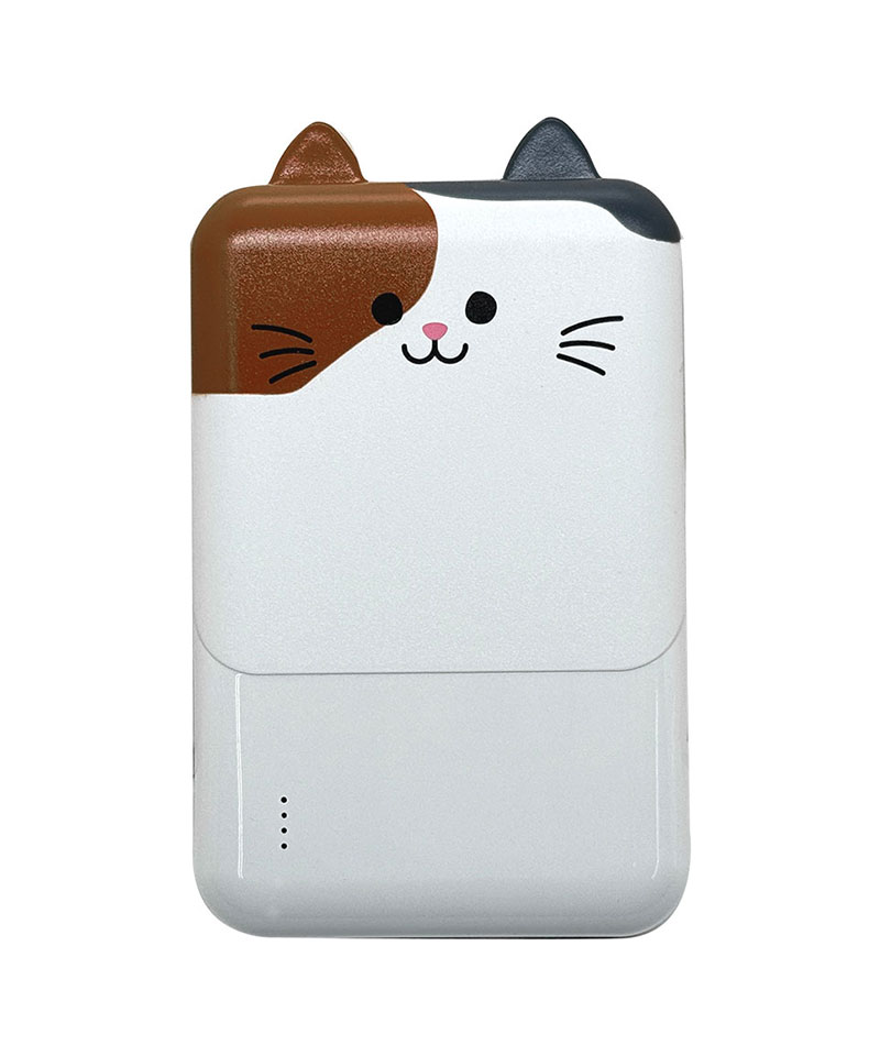 ��Фˤ㡼 ��Х���Хåƥ꡼ 5000mAh 2.1A USB Type-C1�ݡ��� Type-A2�ݡ��� ���� ������ ���������ǽ 3��Ʊ������ �ߥå� RLI050C2A01MIK