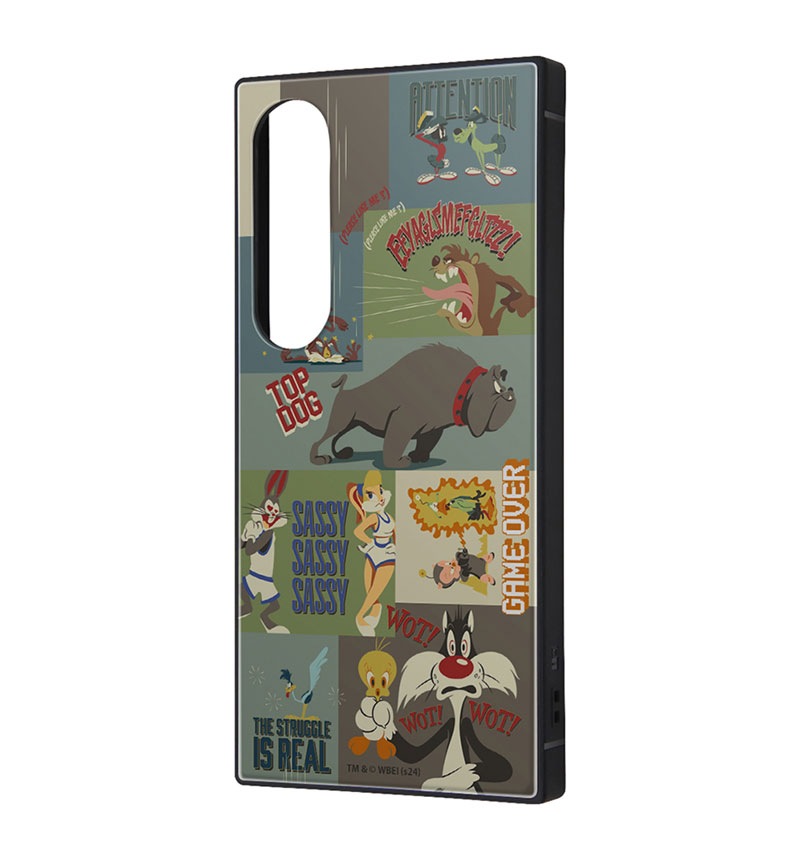 Xperia 1 VI / �롼�ˡ����ƥ塼�� / �ϥ��֥�åɥ����� KAKU / �롼�ˡ����ƥ塼��_���� IQ-WXP1M6K3TB/LN5