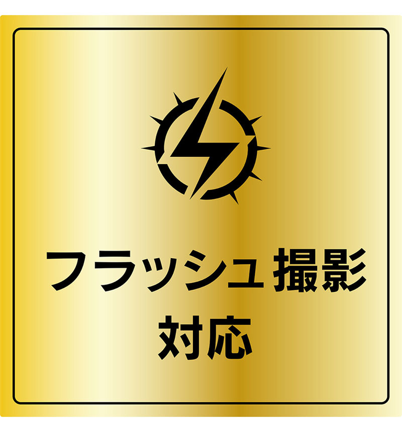 Xperia 10 VI ����ݸ�ե���� 3���å� ��Ʃ�� TR-XP245-LF-CC