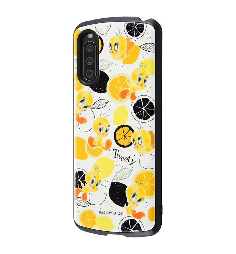 Xperia 10 III��Xperia 10 III Lite �إ롼�ˡ����ƥ塼�󥺡�/�Ѿ׷⥱���� MiA �ȥ������ƥ���/���� IN-RWXP10M3AC4/TWB1