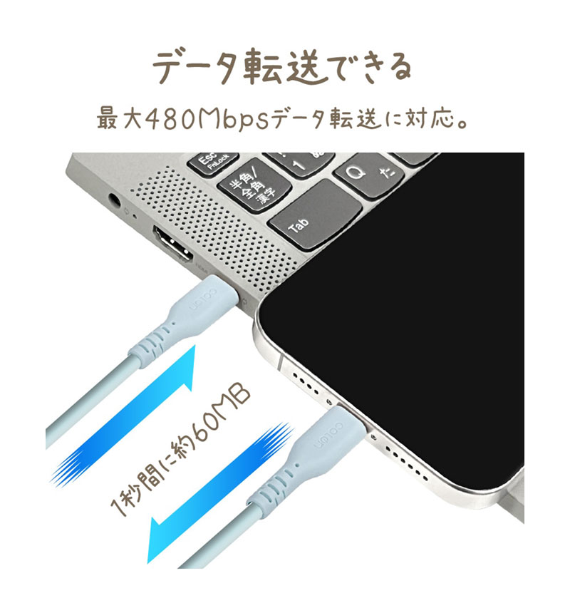 PD�б� ���餫�� ���ꥳ�󥱡��֥� calon ���� �̿� Type-C to Type-C 60W 1m   ���졼 R10CACC3A04GRY ���졼 R10CACC3A04GRY