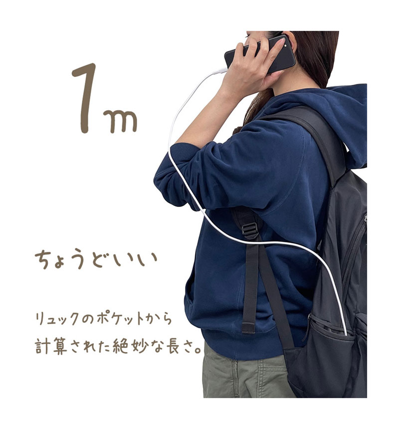 PD�б� ���餫�� ���ꥳ�󥱡��֥� calon ���� �̿� Type-C to Type-C 60W 1m   �饤�ȥѡ��ץ� R10CACC3A04LPU �饤�ȥѡ��ץ� R10CACC3A04LPU