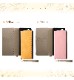 Xperia 5 V  �Ѿ׷� ��Ģ���쥶�������� Raffine �������� IN-RXP5M5DML1/Y