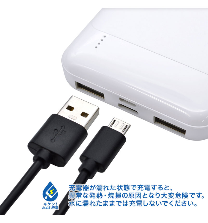 ラスタバナナ スマホ タブレット モバイルバッテリー 5000mAh 2.1A USB