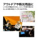 ���ޥ� �����֥� PD�б� ������A�Ѵ� LED �饤�Ƚ��� �̿� Type-C to Type-C Type-A 60W 3A 1.2m �ɺ� �����ȥɥ� �֥�å� R12CACCLED3A01BK �֥�å� R12CACCLED3A01BK
