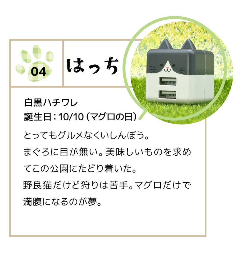 ��Фˤ㡼 ���Ŵ� AC�����ץ��� AC���Ŵ� ǭ�� ����ѥ��ȥ����� 2�ݡ��� 2.4A 5V ������A �ͥ��ߥ� �ͤ��ߤ� ���� �Ϥä� �Ϥä� RAC2A2A02HAC