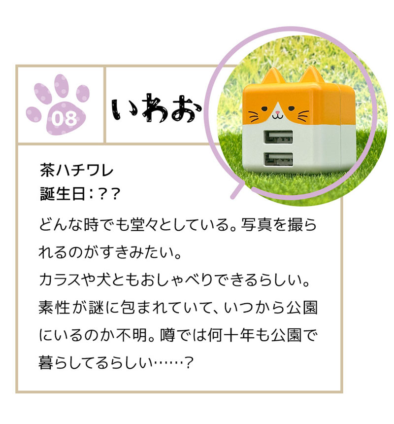 ��Фˤ㡼 ���Ŵ� AC�����ץ��� AC���Ŵ� ǭ�� ����ѥ��ȥ����� 2�ݡ��� 2.4A 5V ������A �ͥ��ߥ� �ͤ��ߤ� ���� ���浪 ���浪 RAC2A2A02IWO
