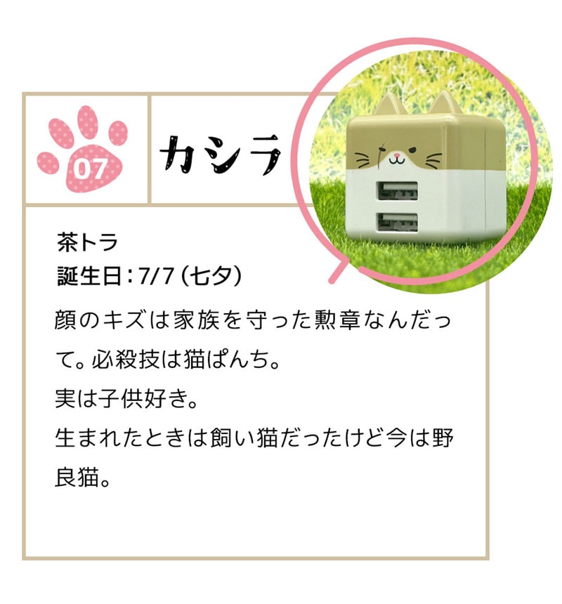 ��Фˤ㡼 ���Ŵ� AC�����ץ��� AC���Ŵ� ǭ�� ����ѥ��ȥ����� 2�ݡ��� 2.4A 5V ������A �ͥ��ߥ� �ͤ��ߤ� ���� ������ ������ RAC2A2A02KSR
