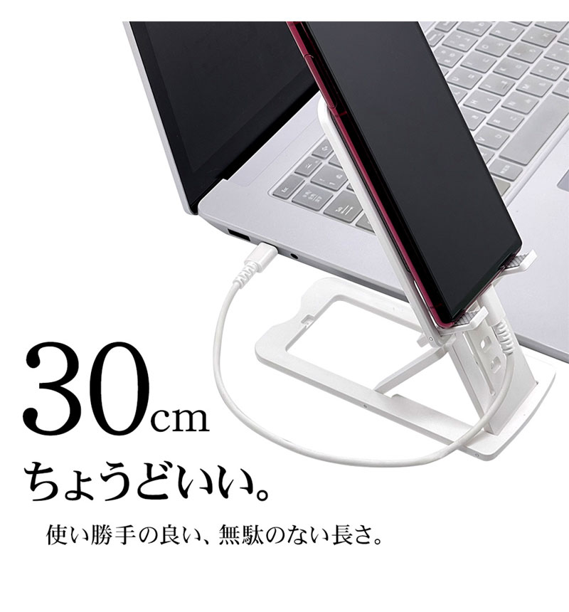 PD�б� USB3.2 gen2 10Gbps �����֥� ���� �̿�  Type-C to Type-C 100W 30cm���㥳���륰�졼 R03CACC5A02CGRY ���㥳���륰�졼 R03CACC5A02CGRY