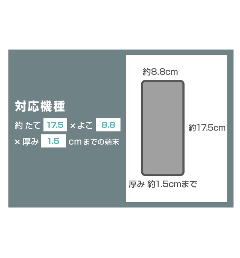 �ǥ����ˡ� / ���ޥ� �ɿ奱���� ��Ǽ�ݡ����դ� / �ߥå������ե��_5 IS-DBSP2B/MAF9