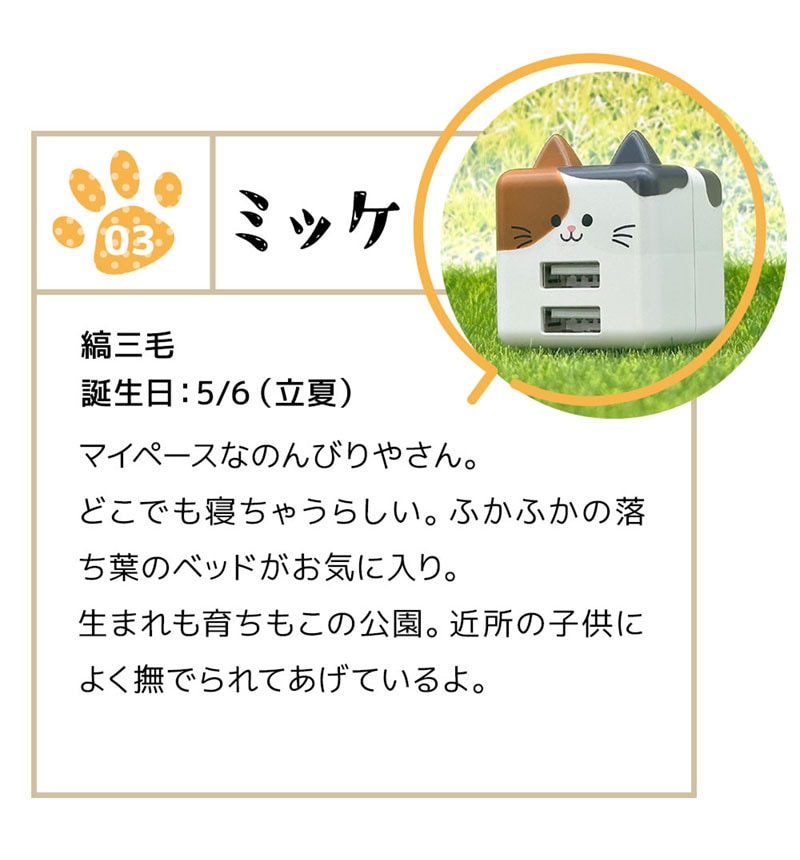 ��Фˤ㡼 ���Ŵ� AC�����ץ��� AC���Ŵ� ǭ�� ����ѥ��ȥ����� 2�ݡ��� 2.4A 5V ������A �ͥ��ߥ� �ͤ��ߤ� ���� �ߥå� �ߥå� RAC2A2A02MIK