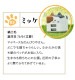 ��Фˤ㡼 ���Ŵ� AC�����ץ��� AC���Ŵ� ǭ�� ����ѥ��ȥ����� 2�ݡ��� 2.4A 5V ������A �ͥ��ߥ� �ͤ��ߤ� ���� �ߥå� �ߥå� RAC2A2A02MIK