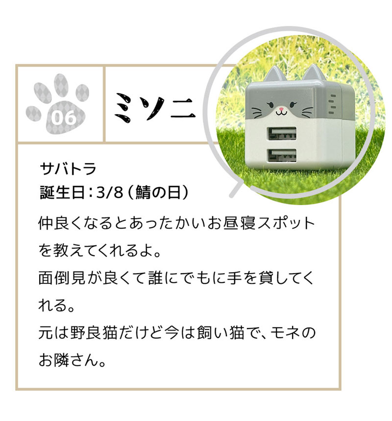 ��Фˤ㡼 ���Ŵ� AC�����ץ��� AC���Ŵ� ǭ�� ����ѥ��ȥ����� 2�ݡ��� 2.4A 5V ������A �ͥ��ߥ� �ͤ��ߤ� ���� �ߥ��� �ߥ��� RAC2A2A02MSN