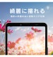 Xperia 10 V ��󥺤��� ��Ʃ�� ����ݸ�ե���� 3�祻�å� ��Ʃ��/�ե���� TR-XP235-LF-CC