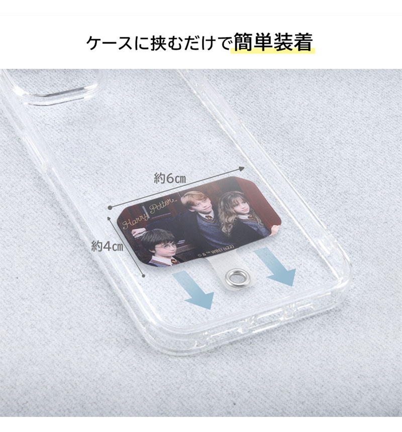 �إ��������ǥ��󥰥��ɡ�/���ȥ�åץۥ���� ���ꥶ��� IJ-WSTH1S/HP19
