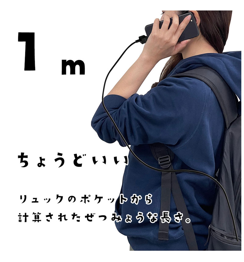 ��Фˤ㡼 ���ޥ� �����֥� ������Τ����������֥� ���� �̿� Type-A to Type-C 3A 1m iPhone Android ��Х˥㡼 ���� R10CAAC3A06GOM