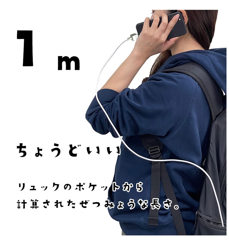 ��Фˤ㡼 ���ޥ� �����֥� ������Τ����������֥� ���� �̿� Type-A to Type-C 3A 1m iPhone Android ��Х˥㡼 ����� R10CAAC3A06MCC