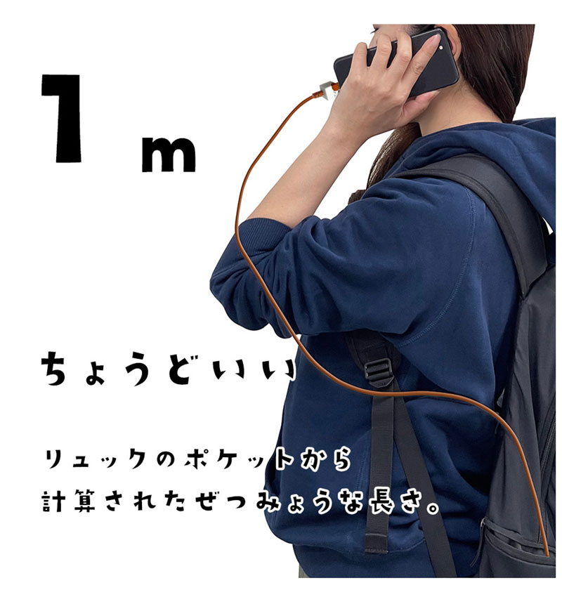 ��Фˤ㡼 ���ޥ� �����֥� ������Τ����������֥� ���� �̿� Type-A to Type-C 3A 1m iPhone Android ��Х˥㡼 �ߥå� R10CAAC3A06MIK