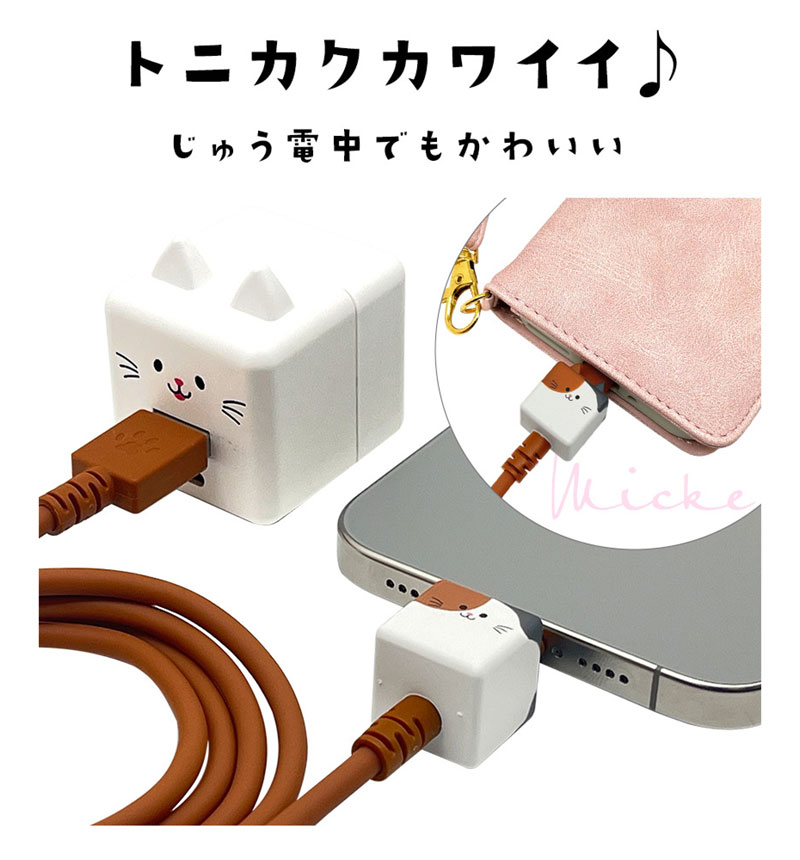 ��Фˤ㡼 ���ޥ� �����֥� ������Τ����������֥� ���� �̿� Type-A to Type-C 3A 1m iPhone Android ��Х˥㡼 �ߥå� R10CAAC3A06MIK