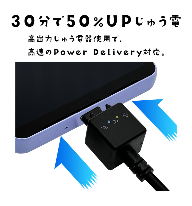 ��Фˤ㡼 ���ޥ� �����֥� ������Τ����������֥�  Power-Delivery�б� ���� �̿� Type-C to Type-C typec 3A 1m ��Х˥㡼 ���� R10CACC3A08GOM