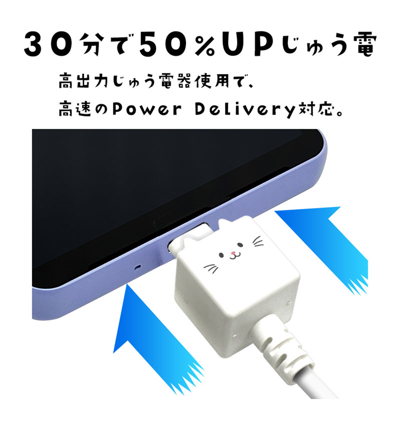 Фˤ㡼 ޥ ֥ Τ֥  Power-Deliveryб  ̿ Type-C to Type-C typec 3A 1m Х˥㡼  R10CACC3A08MCC