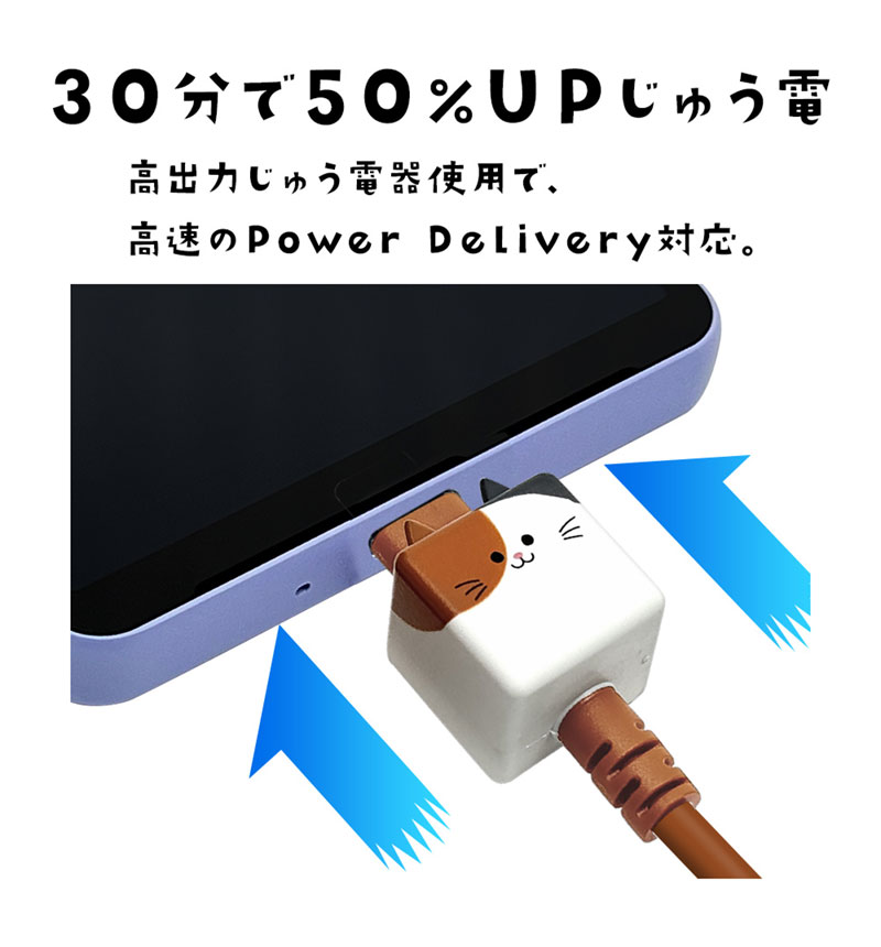 ��Фˤ㡼 ���ޥ� �����֥� ������Τ����������֥�  Power-Delivery�б� ���� �̿� Type-C to Type-C typec 3A 1m ��Х˥㡼 �ߥå� R10CACC3A08MIK
