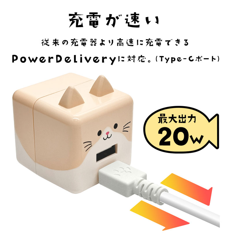 ��Фˤ㡼 USB���Ŵ� 2�ݡ���PD�б� USB Type-C Power Delivery 20W Type-A 2.4A ��Х˥㡼 ����� RACCA20W03ART