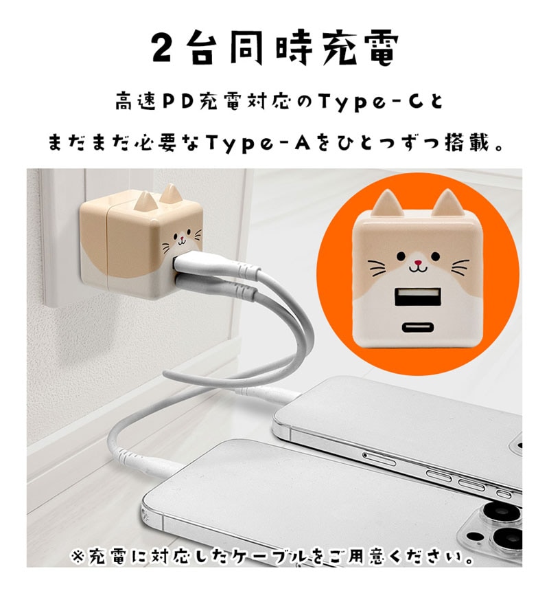 ��Фˤ㡼 USB���Ŵ� 2�ݡ���PD�б� USB Type-C Power Delivery 20W Type-A 2.4A ��Х˥㡼 ����� RACCA20W03ART