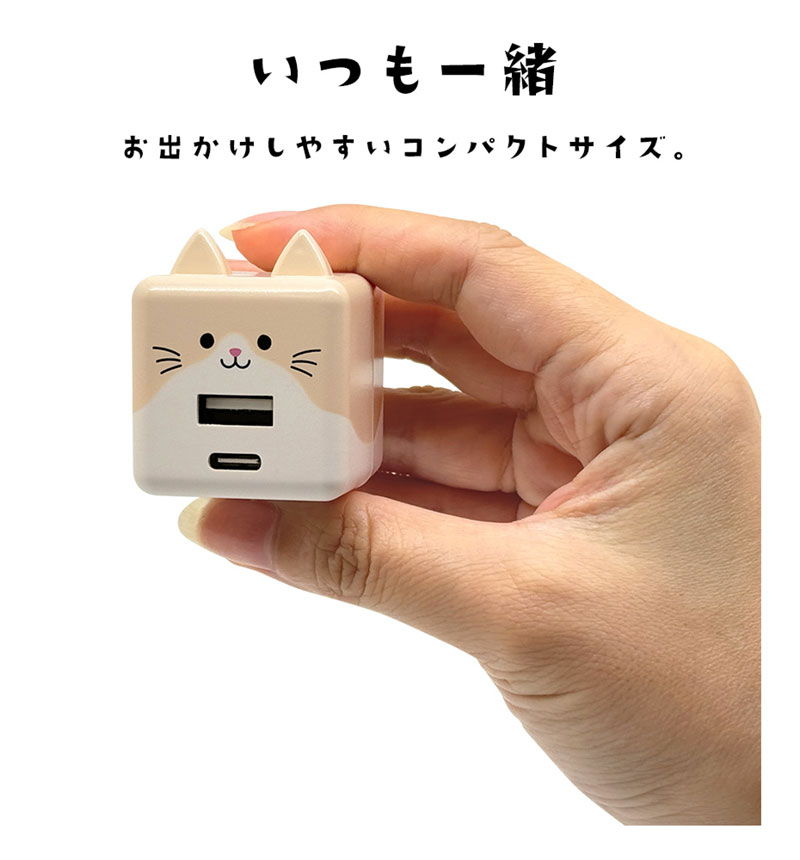 ��Фˤ㡼 USB���Ŵ� 2�ݡ���PD�б� USB Type-C Power Delivery 20W Type-A 2.4A ��Х˥㡼 ����� RACCA20W03ART