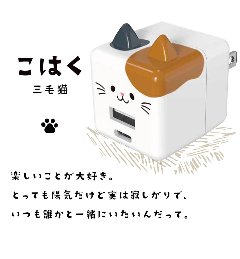 ��Фˤ㡼 USB���Ŵ� 2�ݡ���PD�б� USB Type-C Power Delivery 20W Type-A 2.4A ��Х˥㡼 ���Ϥ� RACCA20W03KHK