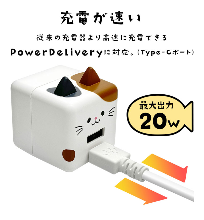 ��Фˤ㡼 USB���Ŵ� 2�ݡ���PD�б� USB Type-C Power Delivery 20W Type-A 2.4A ��Х˥㡼 ���Ϥ� RACCA20W03KHK