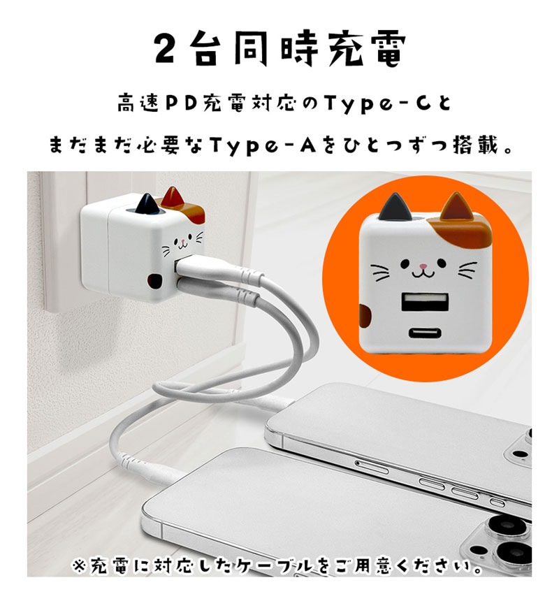 ��Фˤ㡼 USB���Ŵ� 2�ݡ���PD�б� USB Type-C Power Delivery 20W Type-A 2.4A ��Х˥㡼 ���Ϥ� RACCA20W03KHK