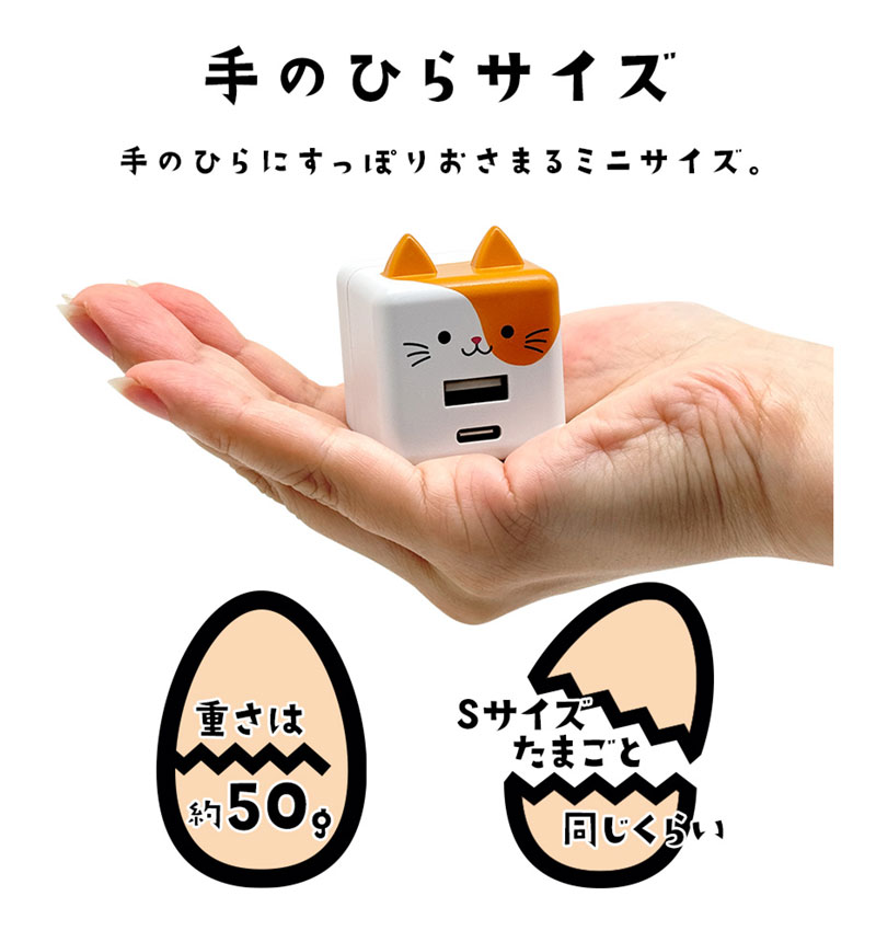 �ڥ����� 10%OFF�ۥ�Фˤ㡼 USB���Ŵ� 2�ݡ���PD�б� USB Type-C Power Delivery 20W Type-A 2.4A ��Х˥㡼 �쥪 RACCA20W03LEO