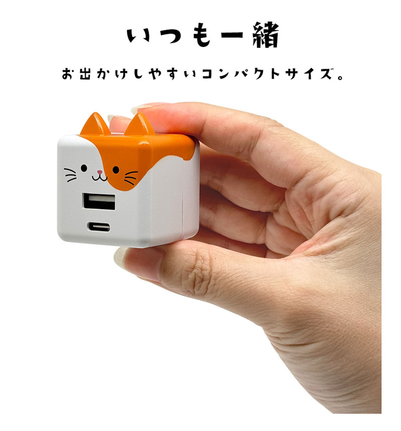 �ڥ����� 10%OFF�ۥ�Фˤ㡼 USB���Ŵ� 2�ݡ���PD�б� USB Type-C Power Delivery 20W Type-A 2.4A ��Х˥㡼 �쥪 RACCA20W03LEO