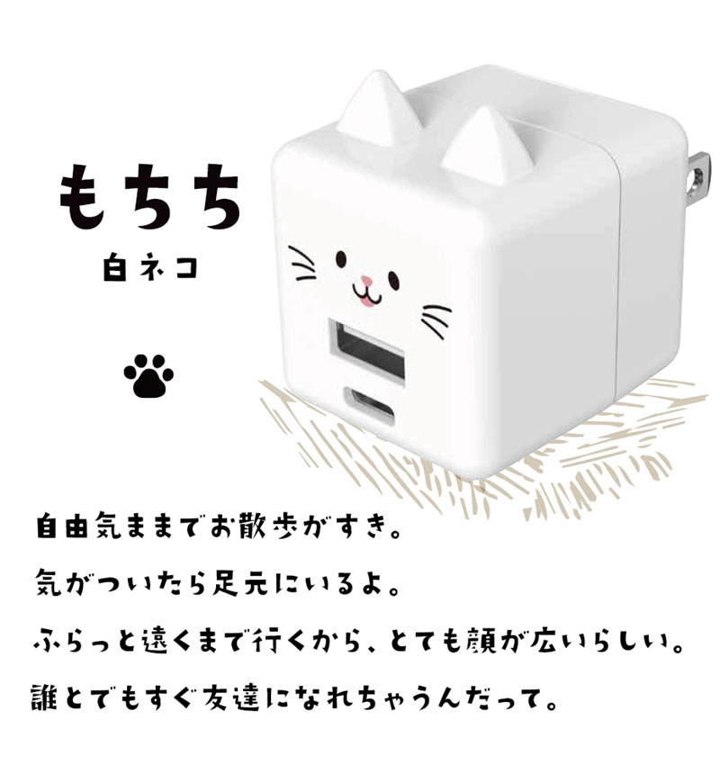 ��Фˤ㡼 USB���Ŵ� 2�ݡ���PD�б� USB Type-C Power Delivery 20W Type-A 2.4A ��Х˥㡼 ����� RACCA20W03MCC