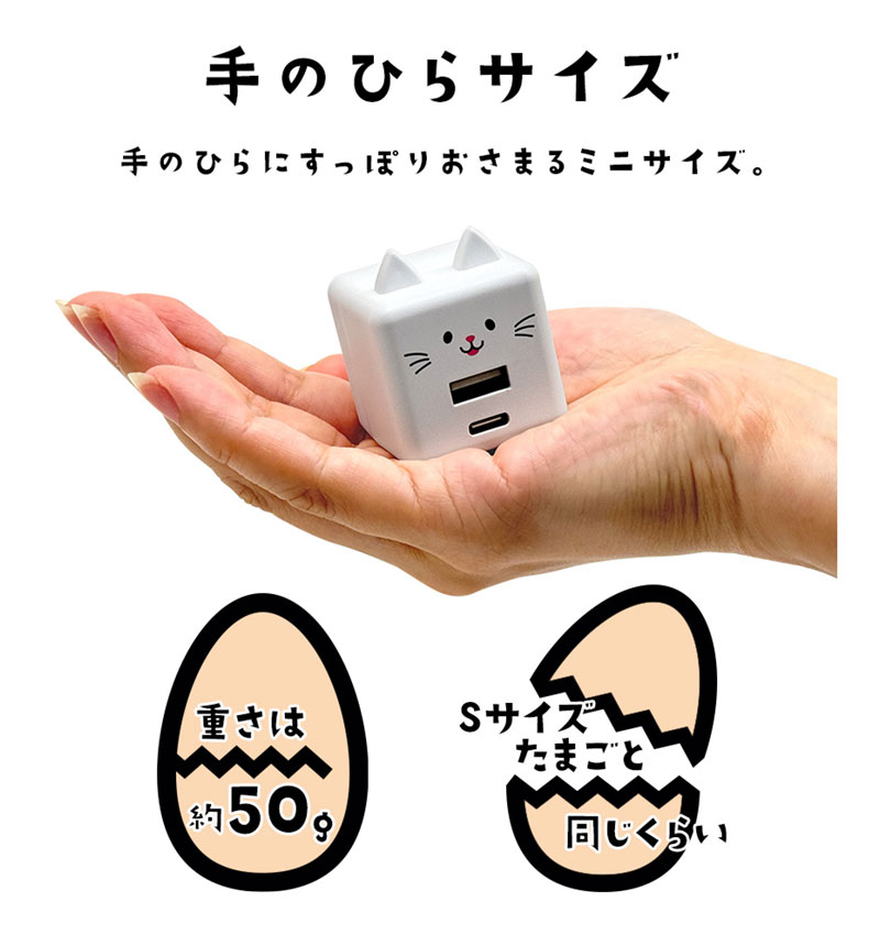 ��Фˤ㡼 USB���Ŵ� 2�ݡ���PD�б� USB Type-C Power Delivery 20W Type-A 2.4A ��Х˥㡼 ����� RACCA20W03MCC