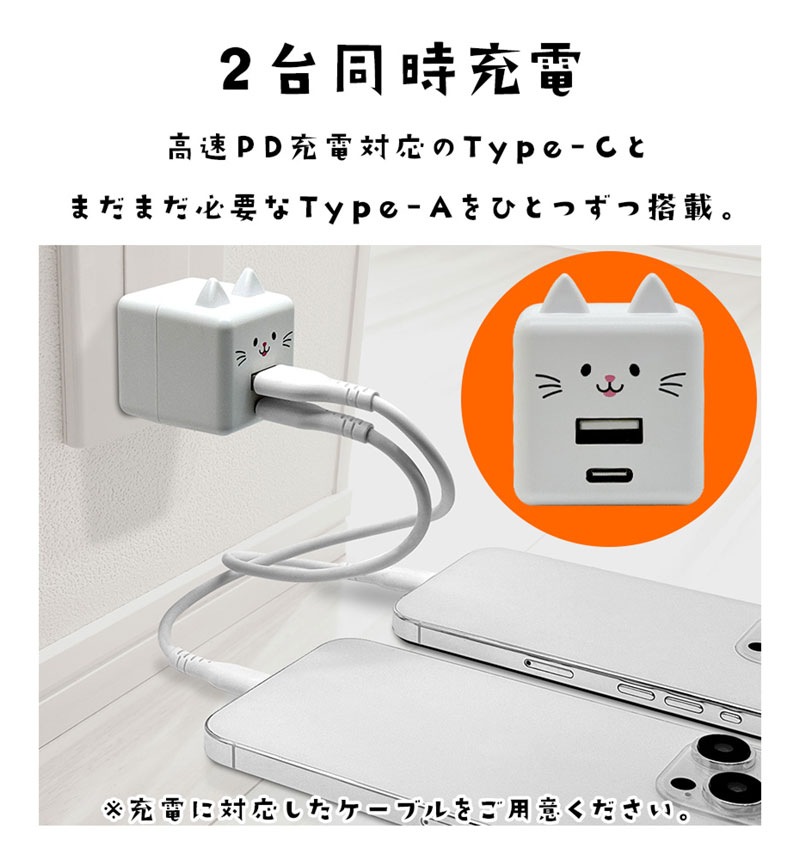 ��Фˤ㡼 USB���Ŵ� 2�ݡ���PD�б� USB Type-C Power Delivery 20W Type-A 2.4A ��Х˥㡼 ����� RACCA20W03MCC