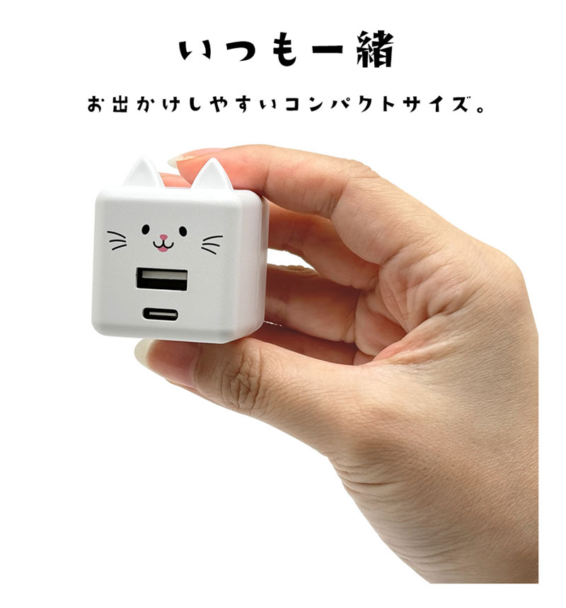 ��Фˤ㡼 USB���Ŵ� 2�ݡ���PD�б� USB Type-C Power Delivery 20W Type-A 2.4A ��Х˥㡼 ����� RACCA20W03MCC