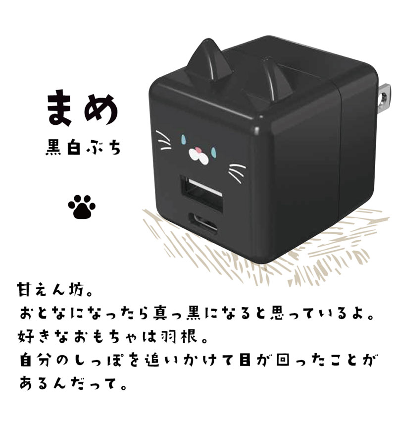 Фˤ㡼 USBŴ 2ݡPDб USB Type-C Power Delivery 20W Type-A 2.4A Х˥㡼 ޤ RACCA20W03MME