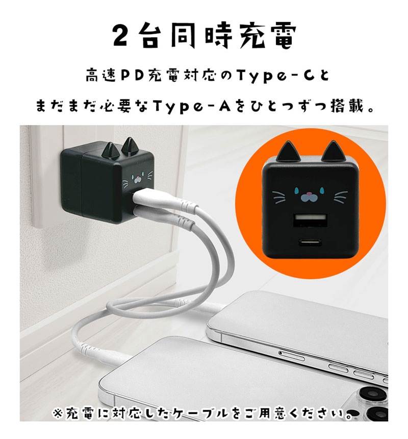 Фˤ㡼 USBŴ 2ݡPDб USB Type-C Power Delivery 20W Type-A 2.4A Х˥㡼 ޤ RACCA20W03MME